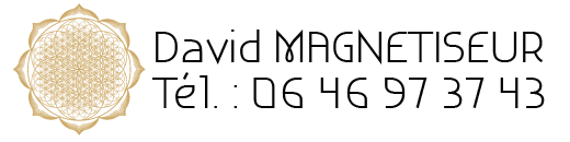 David Magnétiseur Logo
